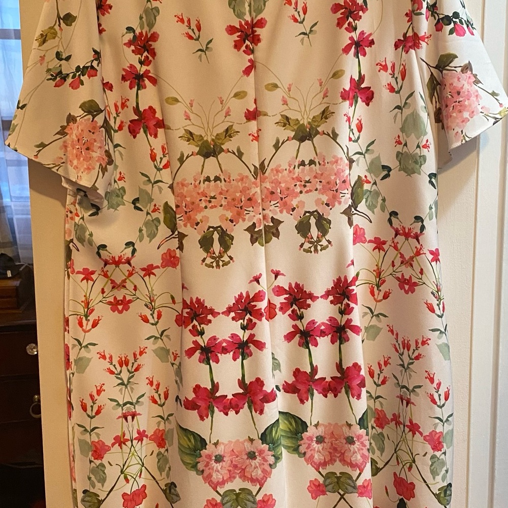 Adrianna Pappell Women’s dress - Picture 2 of 2